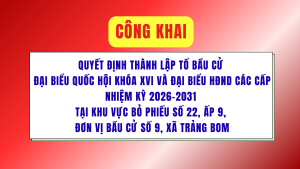 ẢNH BÌA WEB (29)