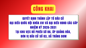ẢNH BÌA WEB (30)