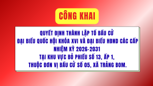 ẢNH BÌA WEB (35)