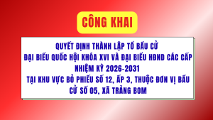ẢNH BÌA WEB (38)