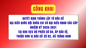 ẢNH BÌA WEB (45)