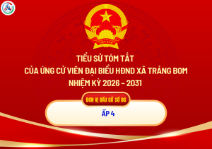 ẢNH BÌA WEB (100)
