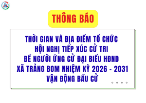 ẢNH BÌA WEB (94)