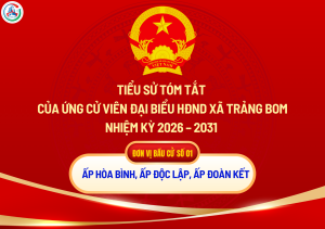 ẢNH BÌA WEB (95)