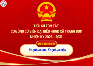 ẢNH BÌA WEB (97)