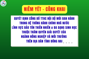 Quyết định công bố thủ tục hành chính nội bộ mới ban hành...