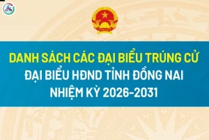 [Infographic] Chính thức công bố danh sách 85 người trúng cử đại biểu HĐND tỉnh Đồng Nai khóa XI, nhiệm kỳ 2026-2031