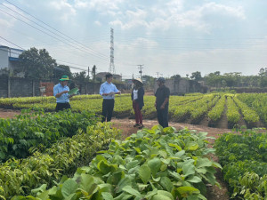 HỘI NÔNG DÂN TỈNH TỔ CHỨC THẨM ĐỊNH PHƯƠNG ÁN “VƯỜN ƯƠM CÂY...