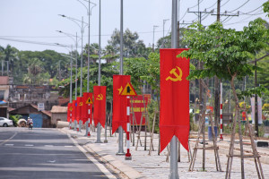 Ruc ro co hoa thanh lap TP Dong Nai