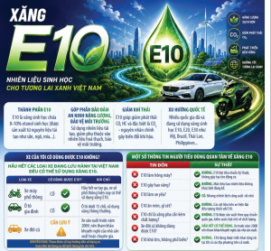 Cẩm nang xăng sinh học E10