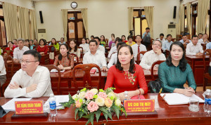 Hoi nghi Tong ket mo hinh chinh quyen 3 cap