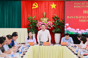 Hội nghị Ban Chấp hành Đảng bộ phường Trảng Bom cho ý kiến về Đề án sắp xếp, kết thúc hoạt động và chuyển giao các tổ chức cơ sở Đảng