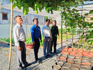 BAN CHỈ HUY QUÂN SỰ PHƯỜNG TRẢNG BOM TÍCH CỰC  TĂNG GIA SẢN XUẤT, BẢO ĐẢM ĐỜI SỐNG TINH THẦN BỘ ĐỘI
