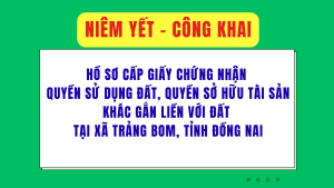 ẢNH BÌA WEB (17)