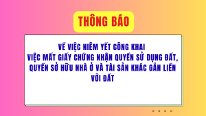 ẢNH BÌA WEB (18)