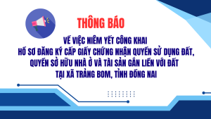 ẢNH BÌA WEB (20)