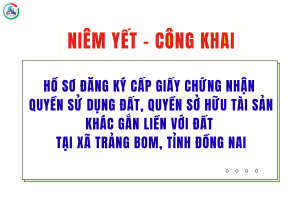 ẢNH BÌA WEB 2026 03 06T115639 848