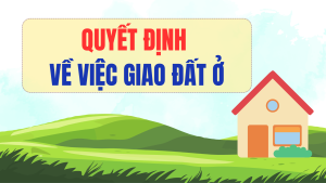 ẢNH BÌA WEB (21)