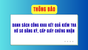 ẢNH BÌA WEB (69)