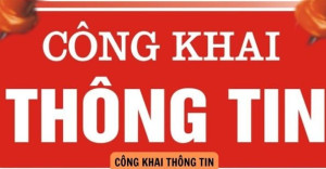 Quyết định về việc công khai số liệu bổ sung dự toán thu ngân sách nhà nước - chi ngân sách địa phương phường Trảng Dài năm 2025 (đợt 1)
