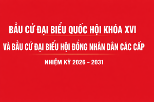 Bầu cử