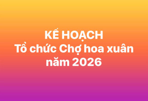 UBND phường tổ chức Chợ hoa xuân Trảng Dài năm 2026