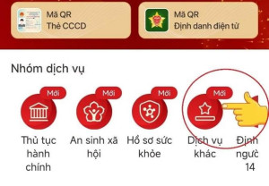 Hướng dẫn đăng ký bỏ phiếu bầu cử ở nơi khác qua VNeID cho cử tri