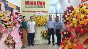 hình 2