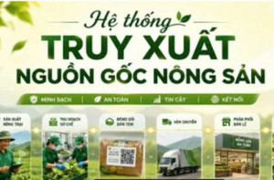Phường Trị An tăng cường ứng dụng mạng xã hội, thương mại...