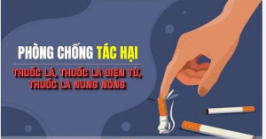16 5 2026 Phường Trị An phòng, chống tác hại thuốc lá