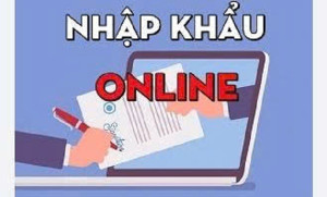 Hướng dẫn nhập khẩu cho con online năm 2025
