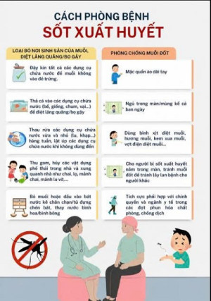 Phòng, chống sốt xuất huyết – Trách nhiệm của mỗi người dân, mỗi gia đình và toàn xã hội