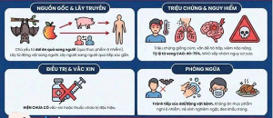 9 4 2026 Tăng cường tuyên truyền phòng, chống dịch bệnh do vi rút Nipah trên địa bàn xã Trị An (2)