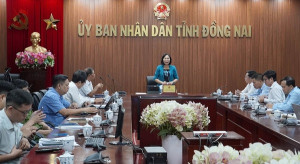 Triển khai quyết liệt các giải pháp phòng, chống dịch tả heo Châu Phi