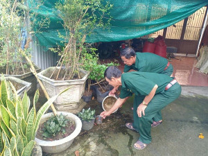 Chiến dịch diệt lăng quăng phòng, chống sốt xuất huyết Vòng II năm 2025