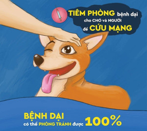 Tăng cường các biện pháp phòng, chống bệnh Dại trên địa bàn