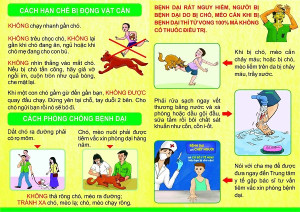 Tăng cường phòng, chống bệnh Dại trên địa bàn xã