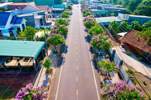 Rà soát, điều chỉnh thông báo thuế sử dụng đất phi nông nghiệp năm 2025