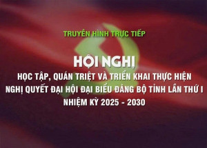 Hội nghị học tập, quán triệt và triển khai Nghị quyết Đại hội Đảng bộ tỉnh lần thứ I, nhiệm kỳ 2025–2030