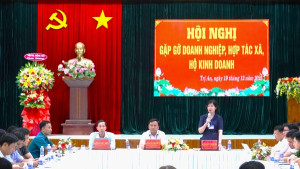 Hội nghị gặp gỡ doanh nghiệp, hợp tác xã, hộ kinh doanh