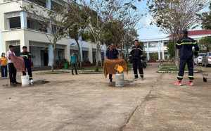 Tăng cường các biện pháp đảm bảo an toàn phòng cháy, chữa cháy và cứu nạn, cứu hộ