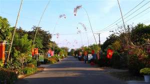 Dựng nêu ngày Tết: Nét đẹp truyền thống của người dân ấp Hiếu Liêm