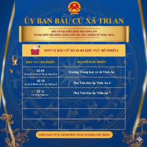 Đơn vị bầu cử số 03 thuộc Ủy ban bầu cử xã Trị An phục vụ Bầu cử đại biểu Quốc hội khóa XVI  và đại biểu HĐND các cấp nhiệm kỳ 2026 – 2031