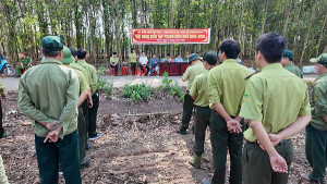 Diễn tập phòng cháy, chữa cháy rừng mùa khô năm 2026