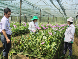 Xã Trị An – Niềm vui lan tỏa, lòng dân phấn khởi