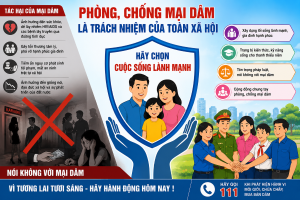Phòng, chống mại dâm – Trách nhiệm của toàn xã hội