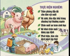 Phường Trị An tăng cường tổng vệ sinh, khử trùng tiêu độc môi trường, chủ động phòng, chống dịch bệnh trên đàn vật nuôi