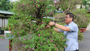 Các cơ quan, đơn vị phường Trị An đồng loạt ra quân tổng vệ...
