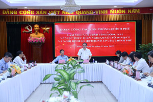 Phó chủ tịch UBND tỉnh Đồng Nai - Lê Trường Sơn chỉ đạo tập trung hoàn thành các nhiệm vụ tại Nghị quyết số 66 và Nghị định số 118 của Chính phủ.