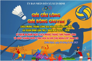 Tổ chức giải cầu lông bóng chuyền